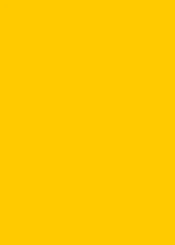 Social Media & Community Specialist