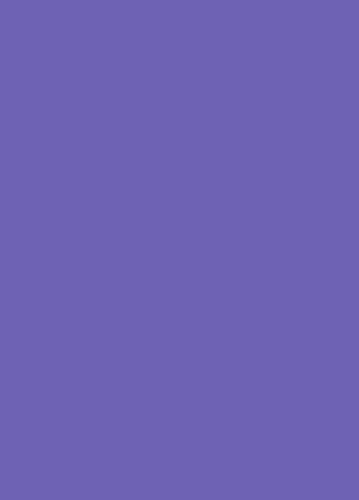 Demand Planner & Buyer