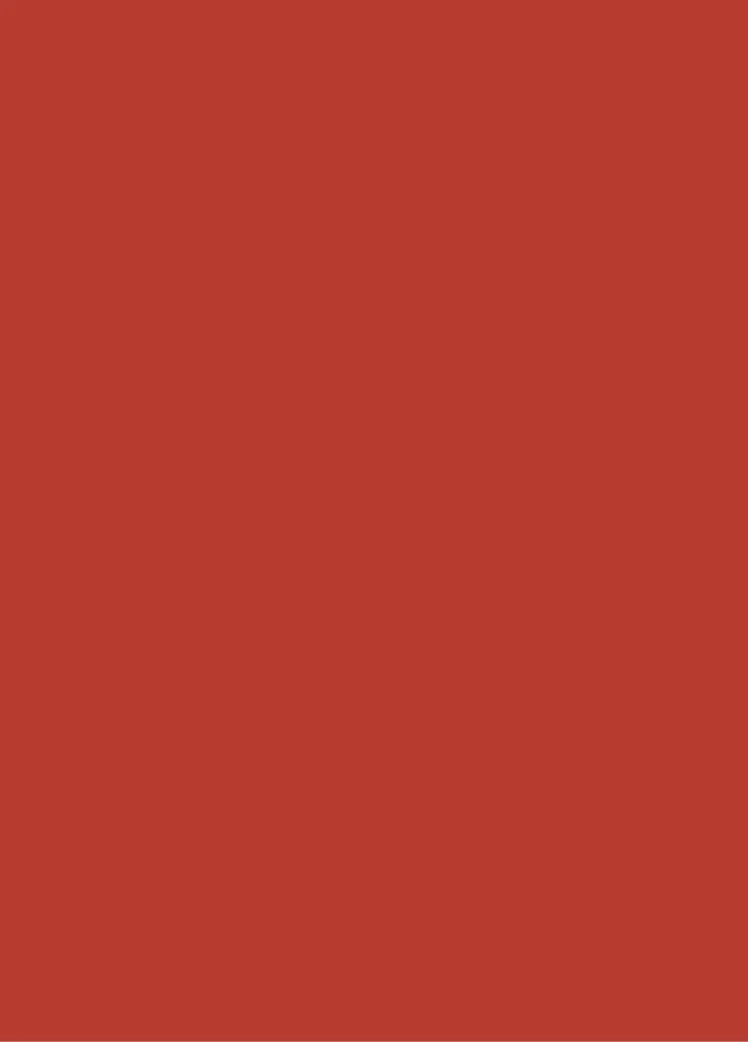 Product Developer