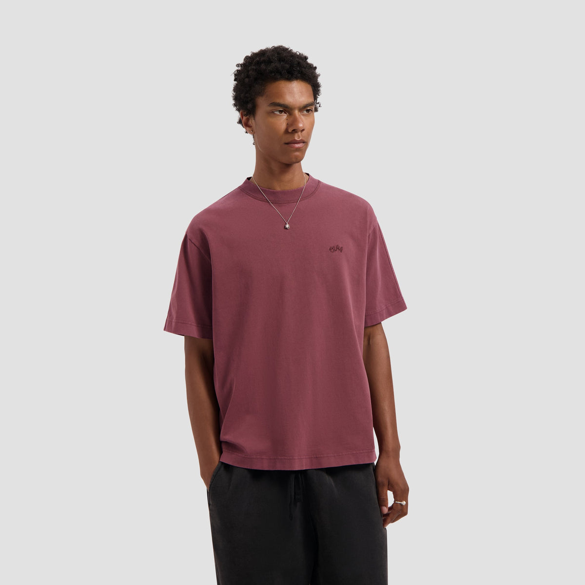 WASHED SIGNATURE TEE | RUM RAISIN