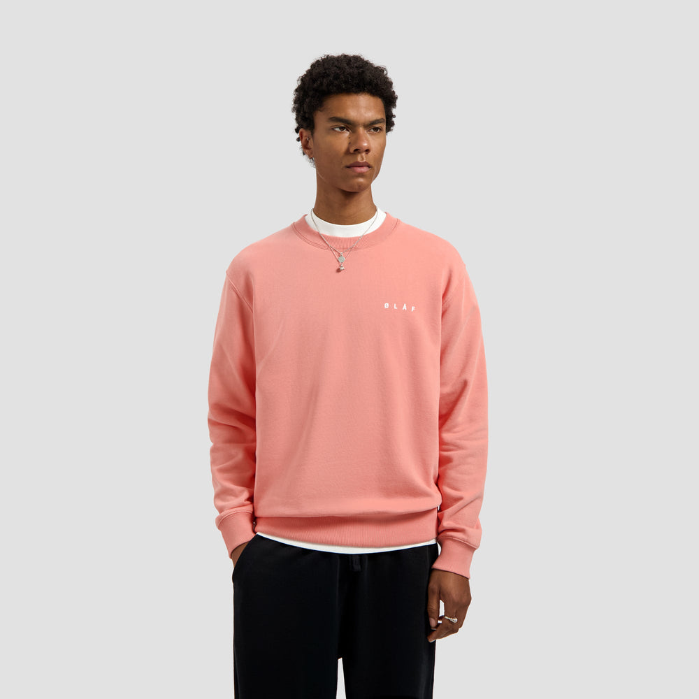 BRUSHSTROKE FACE CREWNECK | BURNT CORAL