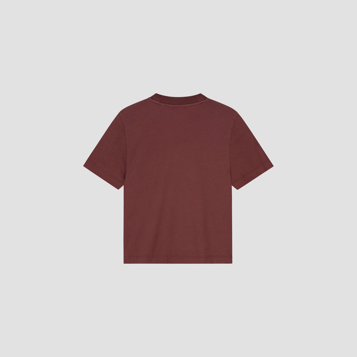 Pin Baby Tee - Rum Raisin